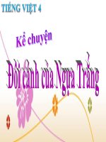 Bài giảng tiếng việt 4 tuần 29 bài kể chuyện   đôi cánh của ngựa trắng 
