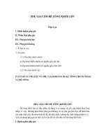 PHỤ GIA CHO bê TÔNG KHỐI lớn