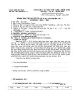 bao cao thanh tich de nghi lao dong tien tien