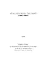 Knowing the influences of context on electronic market adoption a case study of non acceptance of electronic market in large sized companies in china