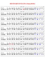 DIEM TONG HOP CUOI NAM. LOP 11.3 (2010 2011)