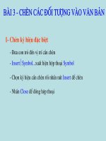 Chen cac doi tuong vao van ban