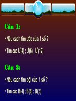 Tim uoc va boi tiet 29.