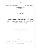 Nghiên cứu ứng dụng xương nhân tạo, máu tủy xương tự thân điều trị khớp giả xương dài chi dưới