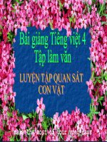 Bài giảng tiếng việt 4 tuần 30 bài tập làm văn   luyện tập quan sát con vật 