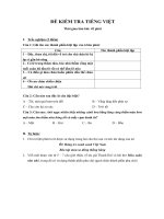 Đề kiểm tra 45 phút tiếng Việt   Trường THCS Nguyễn Công Trứ