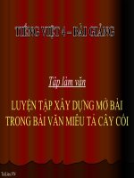 Bài giảng tiếng việt 4 tuần 25 bài tập làm văn   luyện tập xây dựng mở bài trong bài văn miêu tả cây cối 