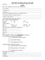 Bai kiem tra 1 (tieng viet)