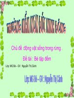 Chủ đề: Động vật sống trong rừng