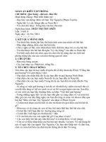 giáo án kiến tập trường