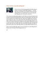 Tại sao chim sẻ ăn hạt mà nuôi con bằng sâu