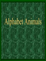 THE ANIMAL ALPHABET