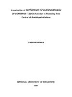 Investigation of suppressor of overexpression of constans 1 (SOC1) function in flowering time control of arabidopsis thaliana