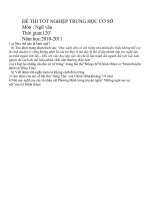 ĐỀ THI TỐT NGHIỆP TRUNG HỌC CƠ SỞ MÔN NGỮ VĂN