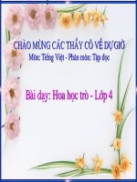 Bài giảng tiếng việt 4 tuần 23 bài hoa học trò 