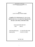 Nghiên cứu tình trạng cu zn và cd trong đất lúa và gạo ở xã thạnh sơn huyện lâm thao tỉnh phú thọ