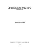 Investigating the role of menaquinone metabolism in dormant mycobacteria with antisense RNA