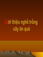 Gioi thieu nghe trong cay an qua