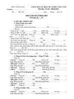 Mẫu báo cáo sơ kết( tổng kết ) năm học 2010 2011