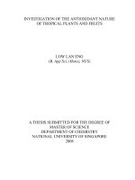 Investigation of the antioxidant nature of tropical plants and fruits