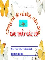 Tập đọc Tặng cháu  Đĩnh