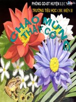 Mở rộng vốn từ các nước, dấu phẩy