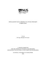 Intelligent data mining via evolutionary computing