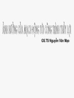 bài giảng ảnh hưởng của mạch động tới công trình thủy lợi