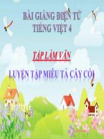 Bài giảng tiếng việt 4 tuần 26 bài tập làm văn   luyện tập miêu tả cây cối 