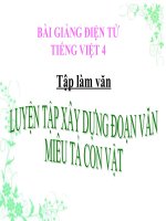 Bài giảng tiếng việt 4 tuần 31 bài tập làm văn   luyện tập xây dựng đoạn văn miêu tả con vật 