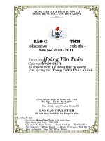 Bao cao thanh tich LDTT 2010 2011