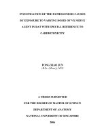 Investigation of the pathogenesis caused by exposure to varying doses of VX nerve agent in rat with special reference to cardiotoxicity