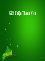 Cách Mạng Tháng Tám Không Phải Là Sự Ăn May