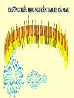 Giáo án giáo dục chuyên đề