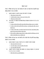 Phân tích tại sao nói nhóm tổ chức xã hội đã chi phối hoạt động hành vi của cá nhân