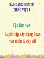 Bài giảng tiếng việt 4 tuần 24 bài tập làm văn   luyện tập xây dựng đoạn văn miêu tả cây cối 