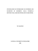 Investigation of interleukin 1b synthesis and secretion by dendritic cells interplay between toll like receptor and FCG receptor