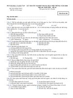 de thi TN bo tuc 2008