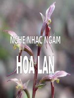 NGẮM HOA LAN