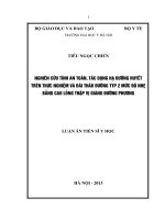 Nghiên cứu tính an toàn, tác dụng hạ đường huyết trên thực nghiệm và đái tháo đường typ 2 mức độ nhẹ bằng cao lỏng thập vị giáng đường phương