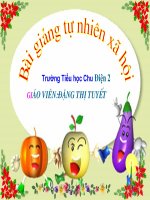 TNXH 2  Một số loài vật sống trên cạn   Tuyết