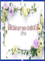 Tiết 45 HƯỚNG dẫn đọc THÊM CHÂN TAY TAI mắt MIỆNG 