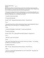 The past pefect tense