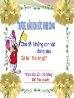 THỎ ĂN GÌ ( Từ 25   36 tháng )