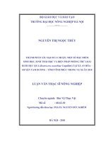 thành phần sâu hại dưa chuột; một số đặc điểm sinh học, sinh thái học và biện pháp phòng trừ loài ruồi đục quả (bactrocera cucurbitae coquillett) tại xã an hòa – huyện tam dương – tỉnh vĩnh phúc trong vụ xuân 2010