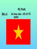 Mỹ thuật Bài 12; Vẽ cờ tổ quốc