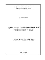 Họ Ếch cây (Rhacophoridae) ở khu bảo tồn thiên nhiên Pù Hoạt