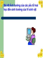 cac yeu to anh hwowng den sinh truong cua VSV.bai tap cua nhóm  3