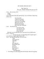 đề kiểm tra HSG môn TV lớp 3 (Châu Hiền)