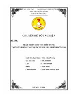 Giải pháp phát triển cho vay tiêu dùng tại ngân hàng TMCP quốc tế VIB chi nhánh đống đa 